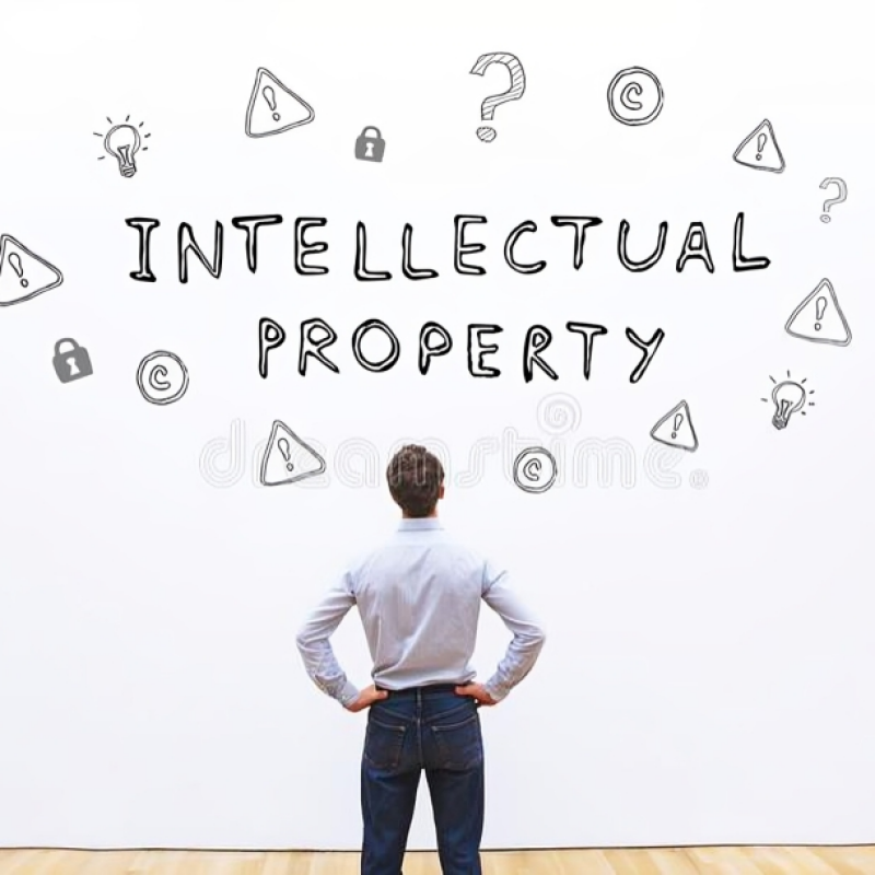 A Comprehensive Guide to Intellectual Property Rights for Small Businesses